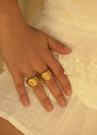 EL ARÁNDANO RING