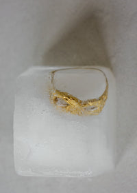 DESHIELO RING