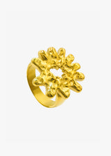 SALPICADA RING